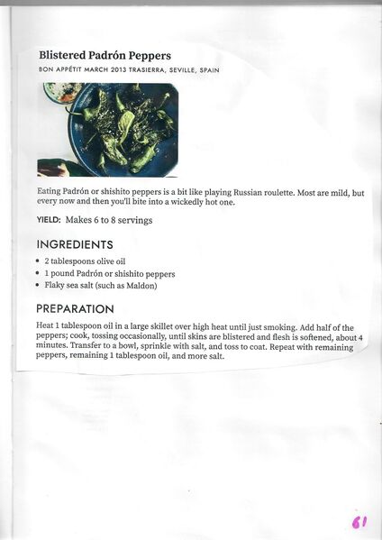 File:Scan0062.jpg