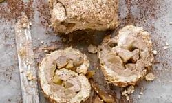 Christmas Roulade with Chocolate and Vanilla Poached Pears