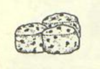 Scones