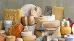 Cheese cultures