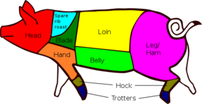 Cuts of Pork