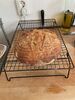 New York Deli Rye ✅