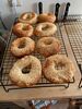 Bagels