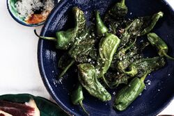 Padron Peppers
