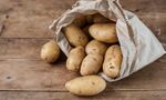 Potato varieties