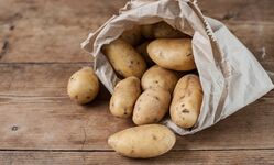 Potato varieties