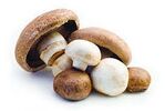 Mushroom names