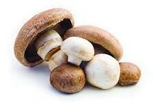 Mushroom names