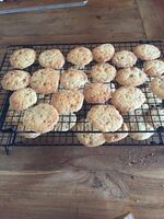 Amsterdamse Koggetjes