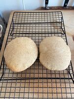 Pitta - pita falastin or khubez