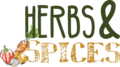 Thumbnail for version as of 14:51, 16 November 2020