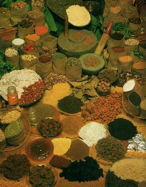 File:Scan0103.jpg