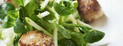 Pan-fried Scallops with Crunchy Apple Salad
